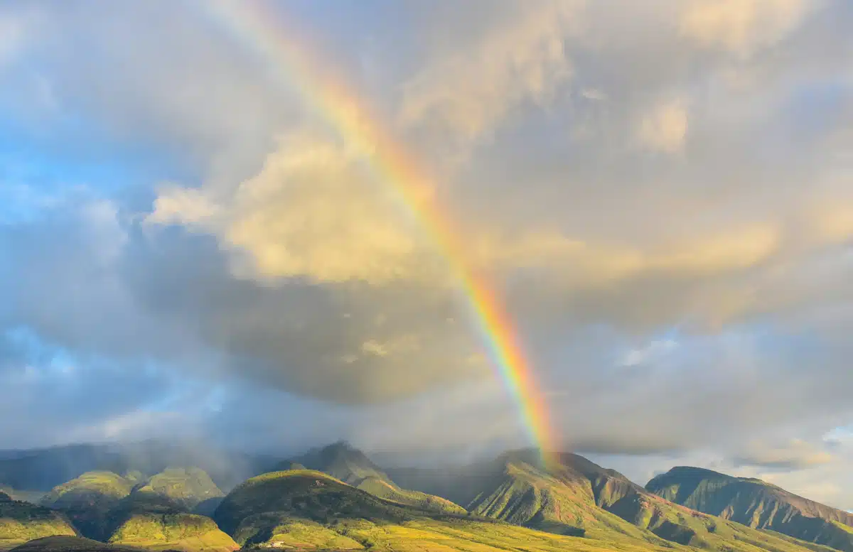 FAQs-Shipping-Companies-in-Hawaii