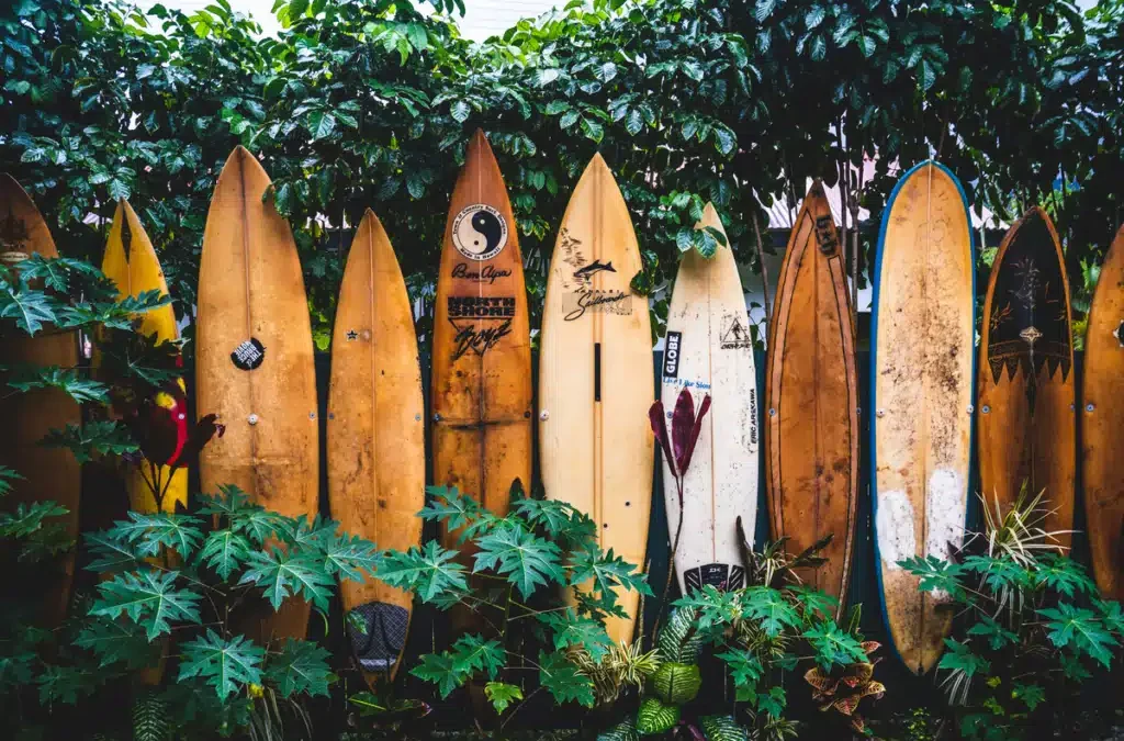 Shipping Companies to Hawaii: Top Rated Services
