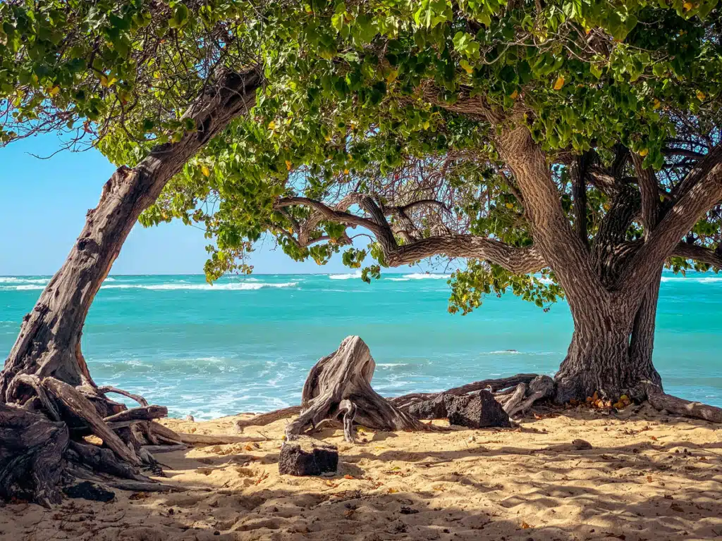 Step-by-Step-Guide-Using-PostFromUS-for-Shipping-Boxes-to-Hawaii-1024x768
