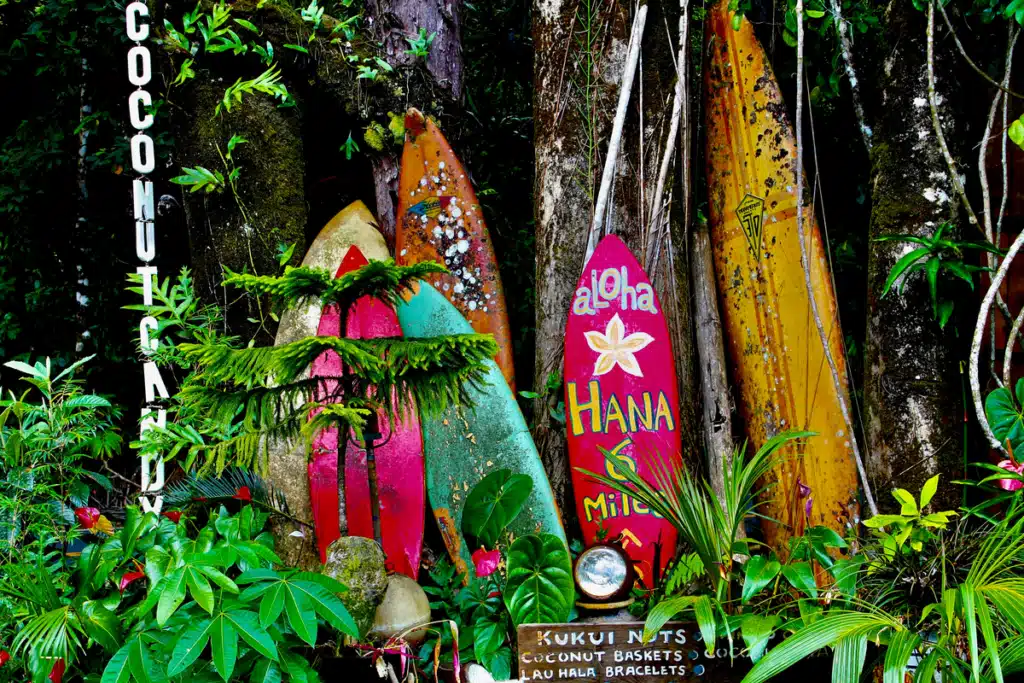 The-Role-of-PostFromUS-in-Shipping-Boxes-to-Hawaii-1024x683