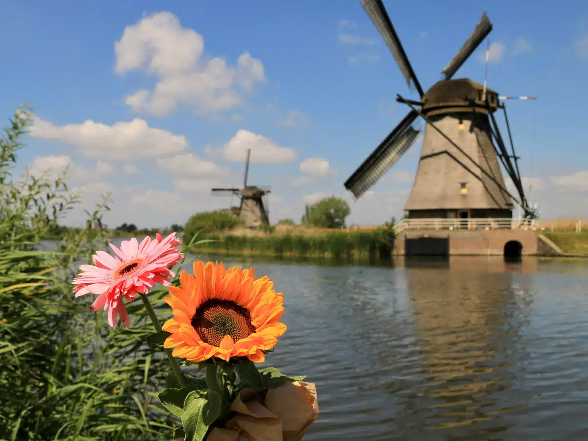 Best-Shipping-Methods-for-Shipping-to-Netherlands-from-the-US