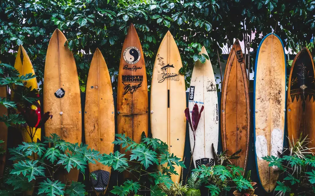 Shipping Companies to Hawaii: Top Rated Services